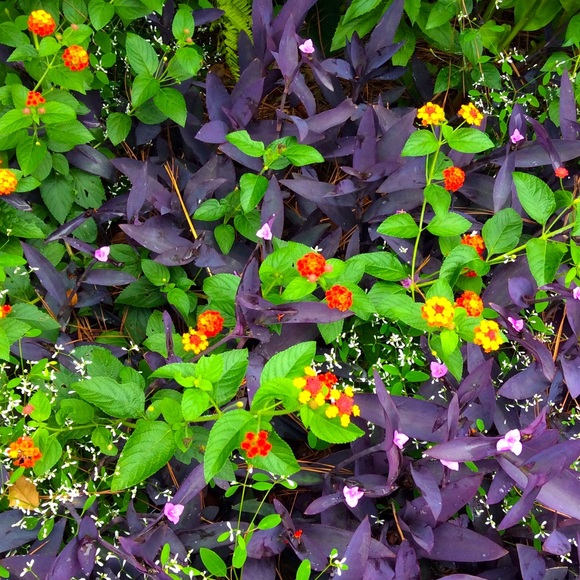 Meet your Posher, Christina - Picture 15 of 16